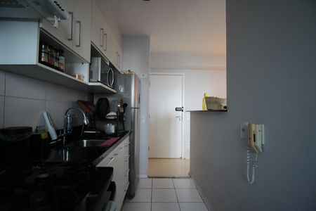 Cozinha de apartamento para alugar com 2 quartos, 50m² em Parque Reboucas, São Paulo