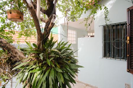 Casa para alugar com 71m², 2 quartos e 1 vagaQuintal