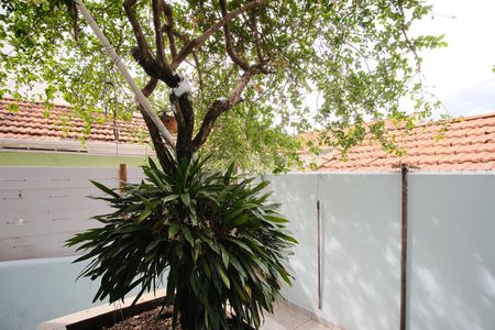 Casa para alugar com 71m², 2 quartos e 1 vagaQuintal