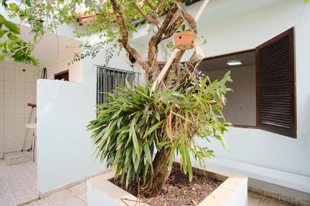 Casa para alugar com 71m², 2 quartos e 1 vagaQuintal