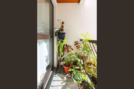 Varanda da Sala de apartamento para alugar com 2 quartos, 74m² em Jardim Maria Rosa, Taboão da Serra