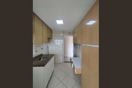 Apartamento para alugar com 63m², 2 quartos e 1 vagaCozinha - Armários