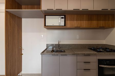 Apartamento para alugar com 40m², 2 quartos e sem vagaCozinha