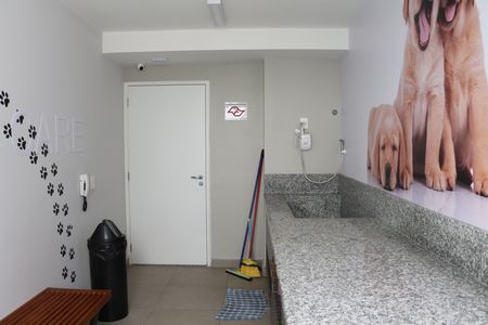 Apartamento para alugar com 34m², 2 quartos e sem vagaPet Care