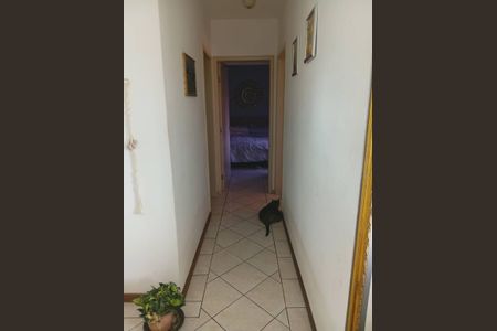 Corredor de apartamento para alugar com 2 quartos, 65m² em Abraão, Florianópolis