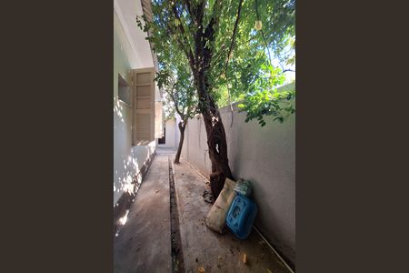 Casa para alugar com 90m², 3 quartos e 4 vagasQuintal