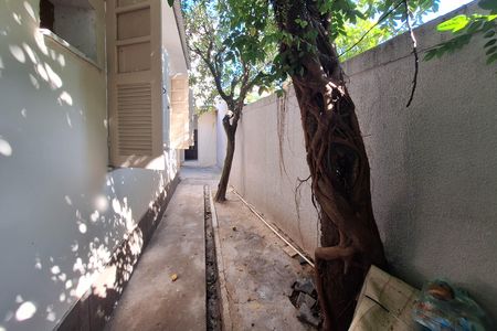 Casa para alugar com 90m², 3 quartos e 4 vagasQuintal