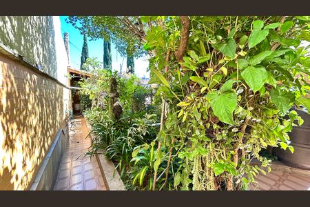 Casa à venda com 354m², 4 quartos e 5 vagasQuintal