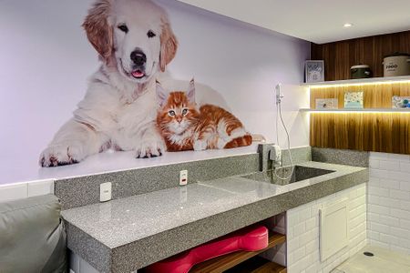 Apartamento para alugar com 29m², 1 quarto e sem vaga Apartamento para alugar com 29m², 1 quarto e sem vagaÁrea comum
