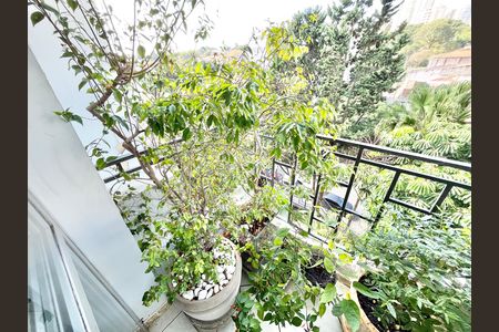 Apartamento para alugar com 87m², 3 quartos e 2 vagasVaranda da Sala