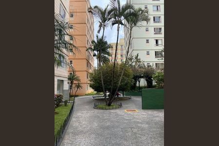 Apartamento à venda com 2 quartos, 61m² em Sacoma, São Paulo