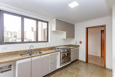 Apartamento para alugar com 220m², 4 quartos e 4 vagas Apartamento para alugar com 220m², 4 quartos e 4 vagasCozinha