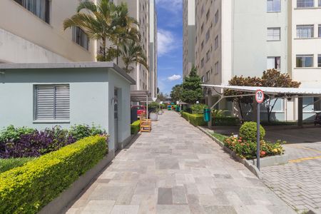 Apartamento para alugar com 63m², 2 quartos e 1 vaga Apartamento para alugar com 63m², 2 quartos e 1 vagaÁrea comum