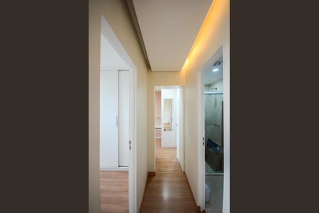 Corredor de apartamento à venda com 2 quartos, 53m² em Jardim Iris, São Paulo