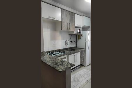 Cozinha de apartamento para alugar com 2 quartos, 60m² em Jardim do Estádio, Santo André
