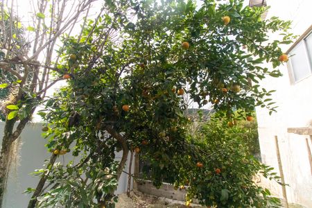 Casa à venda com 300m², 3 quartos e 4 vagasÁrea externa