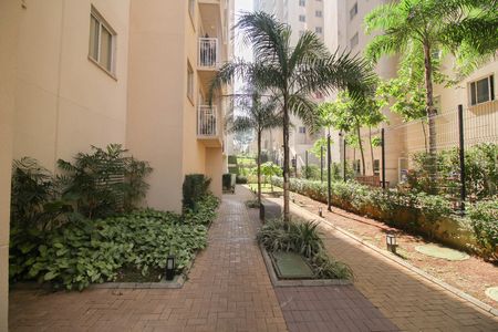 Apartamento à venda com 35m², 2 quartos e sem vaga Apartamento à venda com 35m², 2 quartos e sem vagaarea
