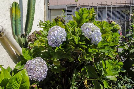 Casa à venda com 120m², 3 quartos e 1 vagaÁrea externa