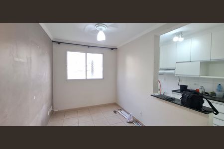 Sala de apartamento para alugar com 2 quartos, 48m² em Jardim Castelo Branco, Ribeirão Preto