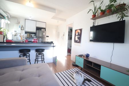 Sala de apartamento para alugar com 1 quarto, 35m² em Jardim Jamaica, Santo André