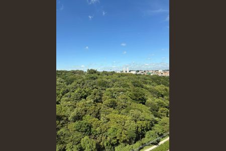 Apartamento à venda com 61m², 3 quartos e 1 vaga