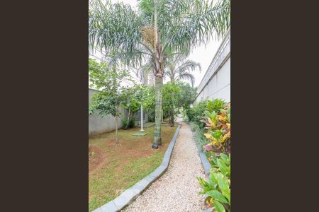 Apartamento para alugar com 59m², 3 quartos e 1 vaga Apartamento para alugar com 59m², 3 quartos e 1 vagaÁrea comum - Espaço pet