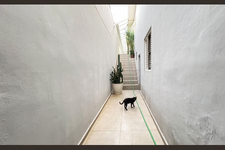 Casa para alugar com 300m², 3 quartos e 2 vagas