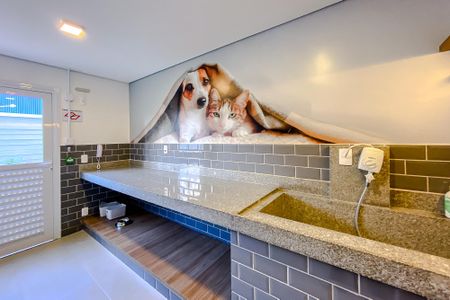 Apartamento para alugar com 25m², 1 quarto e sem vagaÁrea comum