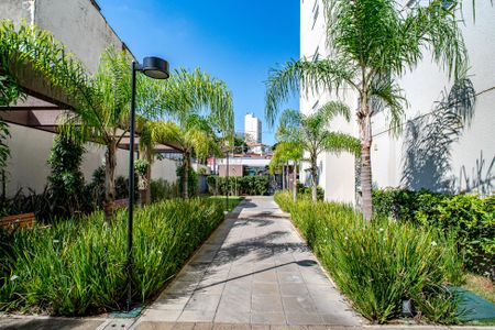 Apartamento para alugar com 39m², 2 quartos e 1 vaga Apartamento para alugar com 39m², 2 quartos e 1 vagaÁrea comum