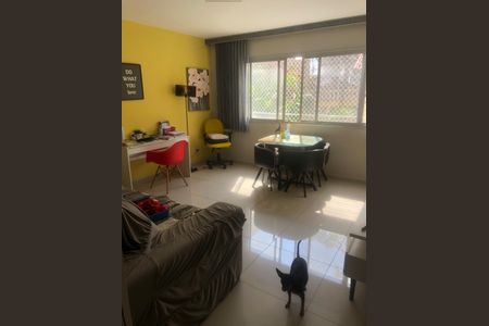 Apartamento para alugar com 3 quartos, 70m² em Vila Cachoeira, São Paulo