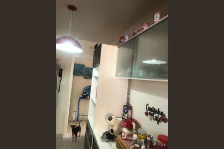 Apartamento para alugar com 3 quartos, 70m² em Vila Cachoeira, São Paulo