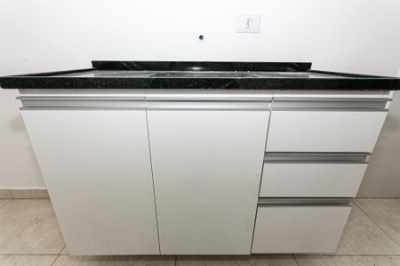 Cozinha - Armários de apartamento para alugar com 2 quartos, 48m² em Penha de França, São Paulo