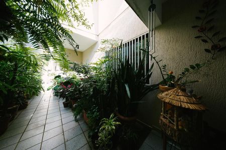 Casa à venda com 400m², 6 quartos e 4 vagas Casa à venda com 400m², 6 quartos e 4 vagasÁrea externa
