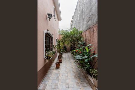 Casa para alugar com 200m², 3 quartos e 2 vagas Casa para alugar com 200m², 3 quartos e 2 vagasQuintal e jardim