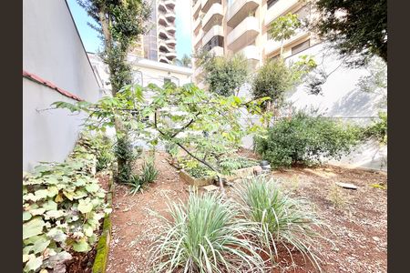 Casa à venda com 250m², 3 quartos e 5 vagasQuintal