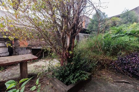 Quintal  de casa à venda com 3 quartos, 190m² em Vila Matilde, São Paulo