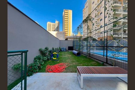 Área comum - Petplace de apartamento para alugar com 3 quartos, 156m² em Cambuí, Campinas