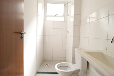 Banheiro Social de apartamento para alugar com 2 quartos, 45m² em Morada da Colina, Uberlândia