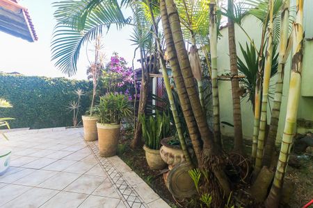 Jardim de casa para alugar com 3 quartos, 380m² em Vila Suissa, Mogi das Cruzes