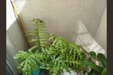 Studio à venda com 35m², 1 quarto e sem vagaÁrea externa - estendal
