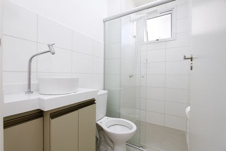 Banheiro Social de apartamento para alugar com 2 quartos, 48m² em Palmeiras, Belo Horizonte