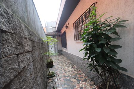 Casa à venda com 271m², 3 quartos e 2 vagasQuintal