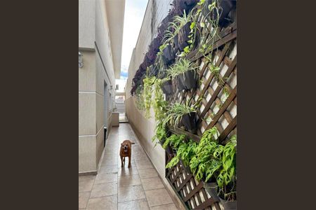 Casa à venda com 4 quartos, 200m² em Vila Guilherme, São Paulo
