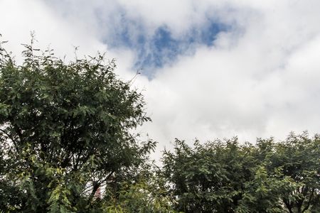 Casa de condomínio à venda com 385m², 2 quartos e 5 vagas Casa de condomínio à venda com 385m², 2 quartos e 5 vagasVista da Varanda