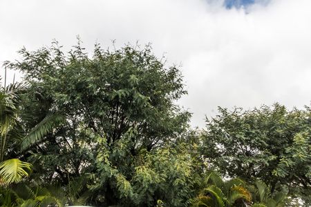 Casa de condomínio à venda com 385m², 2 quartos e 5 vagas Casa de condomínio à venda com 385m², 2 quartos e 5 vagasVista da Suíte