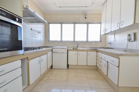 Apartamento à venda com 320m², 3 quartos e 2 vagasCozinha