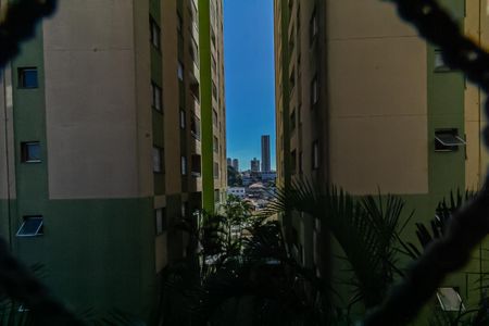 Vista da Varanda de apartamento para alugar com 2 quartos, 50m² em Santa Terezinha, São Bernardo do Campo