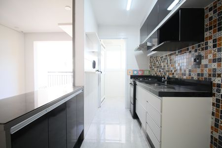 Cozinha  de apartamento para alugar com 2 quartos, 50m² em Jardim Caboré, São Paulo