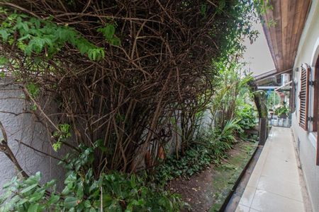 Casa à venda com 326m², 2 quartos e 6 vagasQuintal