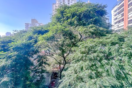 Vista da Varanda de apartamento para alugar com 1 quarto, 40m² em Vila Regente Feijó, São Paulo